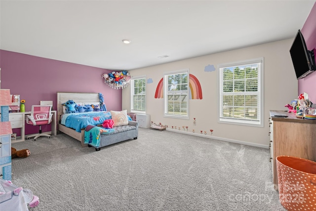4226 Hollister Pl, Clover, SC 29710 - photo 38