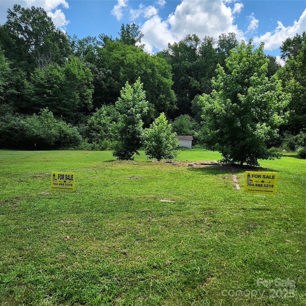 359 Martin St, Polkton, NC 28135 - photo 2