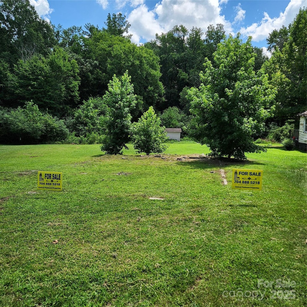 359 Martin St, Polkton, NC 28135 - photo 3
