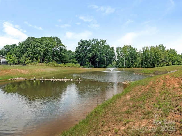 2026 Lake Como Dr Unit 2.213, Monroe, NC 28110 - photo 25