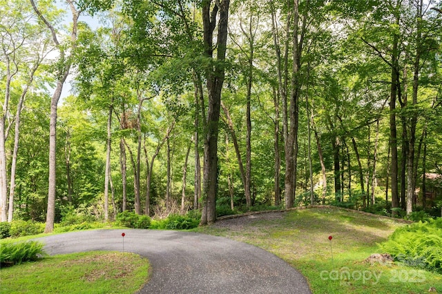 1055 Winter Star Loop, Burnsville, NC 28714 - photo 42