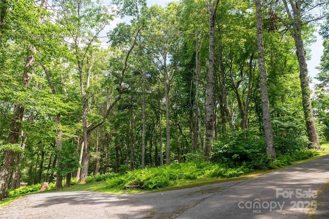 1055 Winter Star Loop, Burnsville, NC 28714 - photo 43