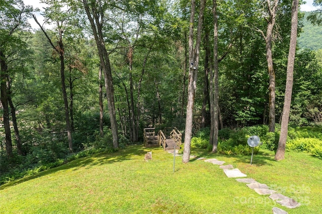1055 Winter Star Loop, Burnsville, NC 28714 - photo 44