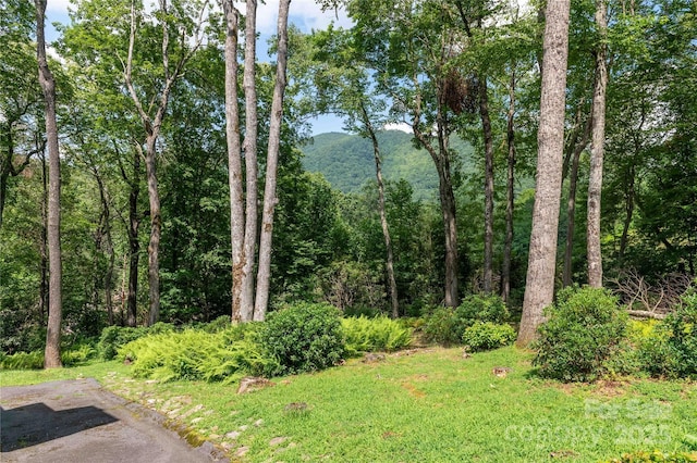 1055 Winter Star Loop, Burnsville, NC 28714 - photo 47
