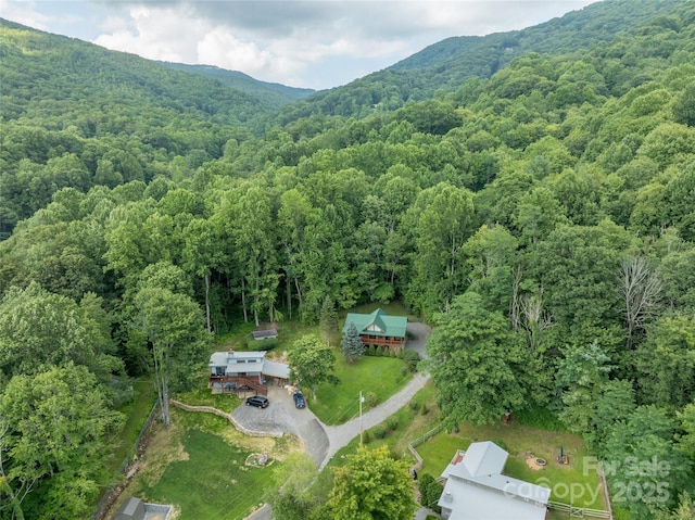 125 Apple Blossom Ln, Maggie Valley, NC 28751 - photo 46