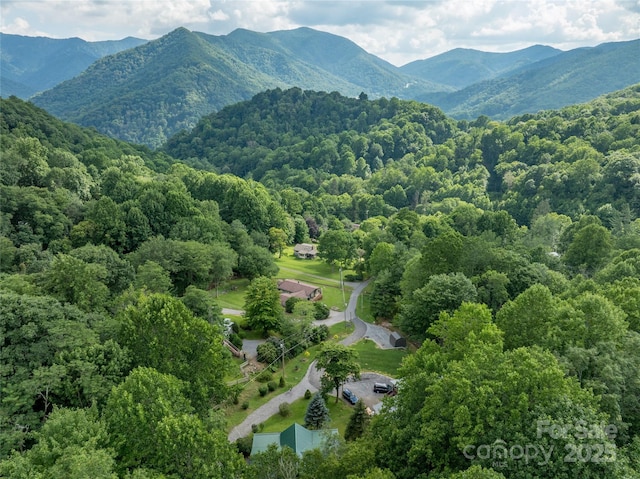 125 Apple Blossom Ln, Maggie Valley, NC 28751 - photo 47