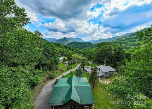 125 Apple Blossom Ln, Maggie Valley, NC 28751 - photo 48