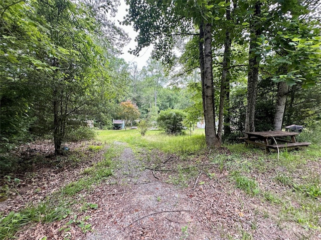 5203 NC-18 Rd, Connelly Springs, NC 28612 - photo 20