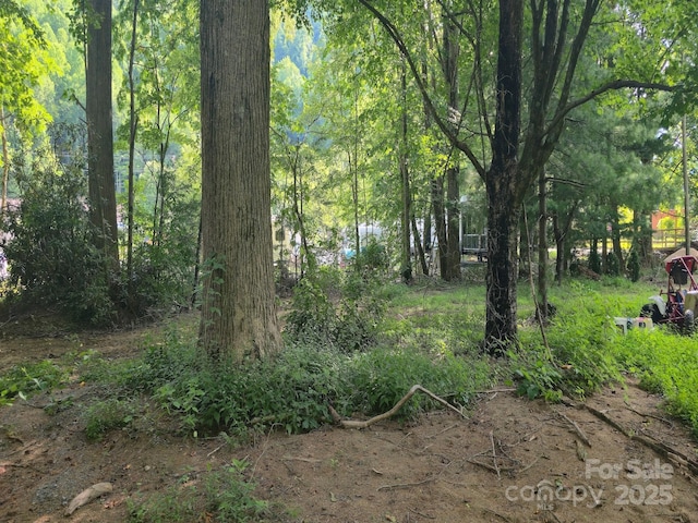 103 Heart Ln, Maggie Valley, NC 28751 - photo 11