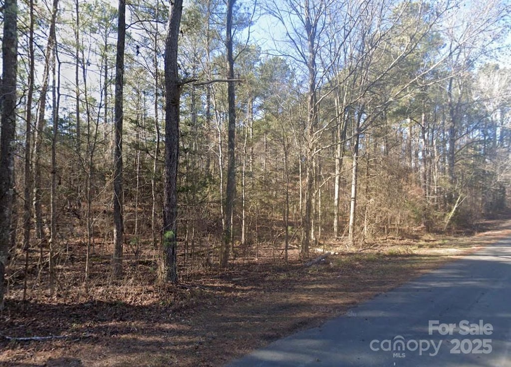 0 King Rd, Henderson, NC 27537 - photo 3