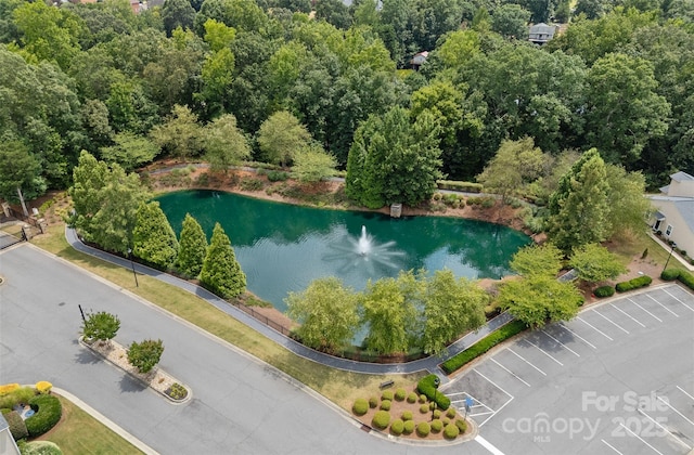 816 Canoe Song Rd, Fort Mill, SC 27908 - photo 24