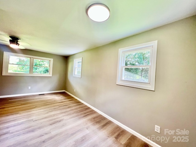 4506 Rink Dam Rd, Taylorsville, NC 28681 - photo 10