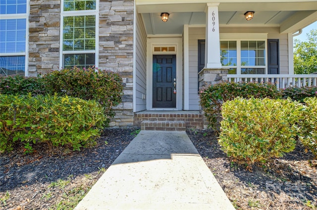 6096 Cloverdale Dr, Fort Mill, SC 29708 - photo 4