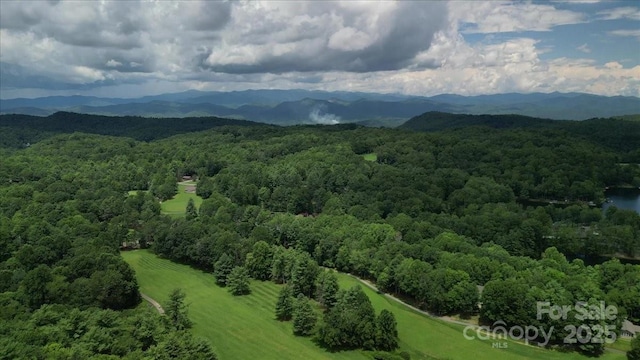23 Dvga Ct, Brevard, NC 28712 - photo 44