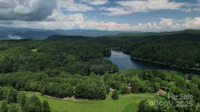 23 Dvga Ct, Brevard, NC 28712 - photo 45
