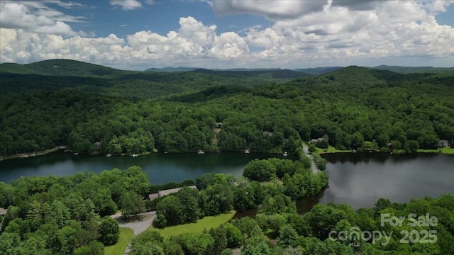23 Dvga Ct, Brevard, NC 28712 - photo 46