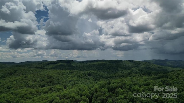 23 Dvga Ct, Brevard, NC 28712 - photo 47