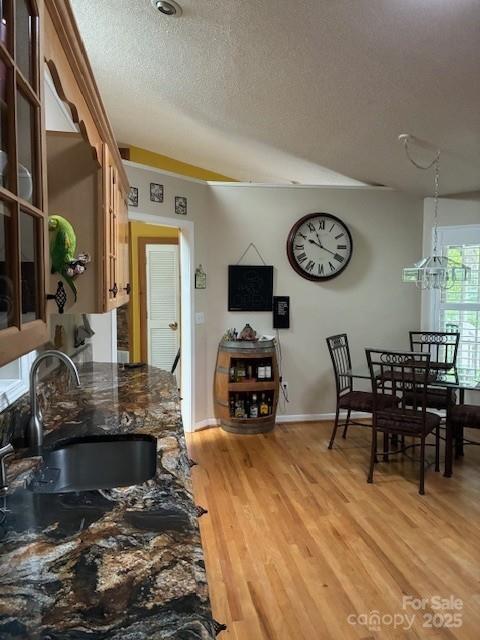 23 Dvga Ct, Brevard, NC 28712 - photo 19