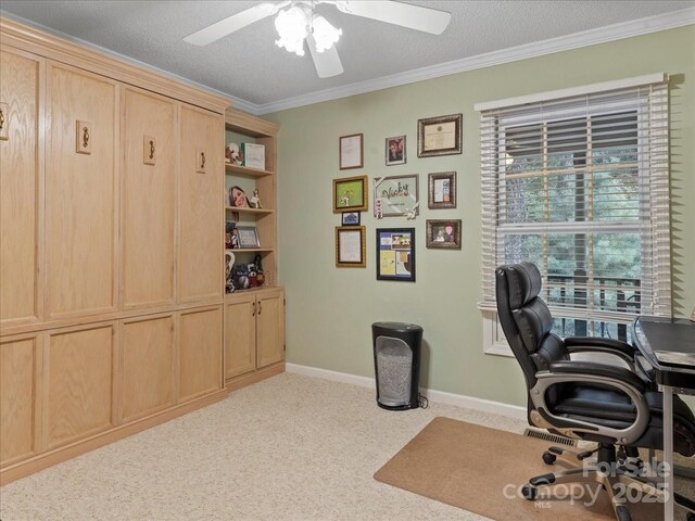 23 Dvga Ct, Brevard, NC 28712 - photo 28