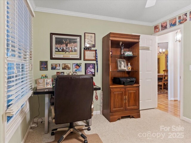 23 Dvga Ct, Brevard, NC 28712 - photo 29