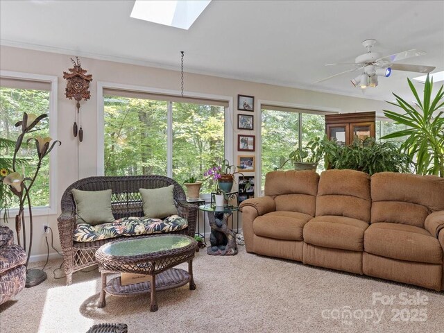 23 Dvga Ct, Brevard, NC 28712 - photo 31