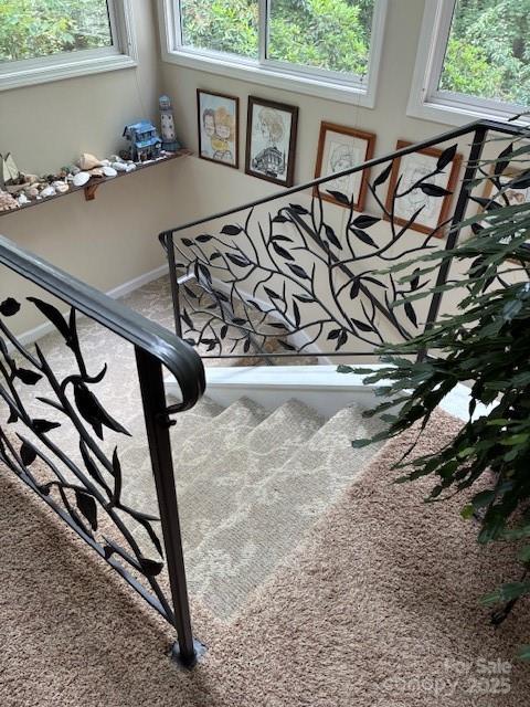 23 Dvga Ct, Brevard, NC 28712 - photo 33