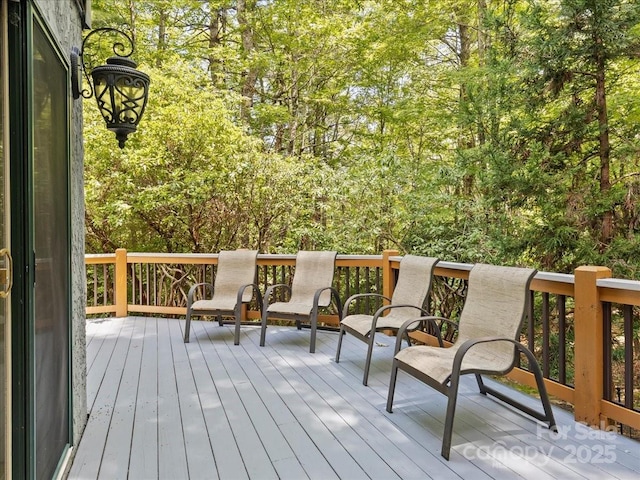 23 Dvga Ct, Brevard, NC 28712 - photo 38