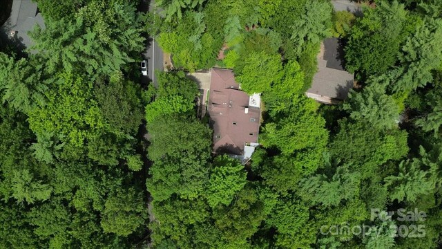 23 Dvga Ct, Brevard, NC 28712 - photo 43