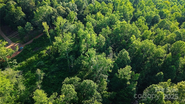 3530 Bridle Path Dr, Vale, NC 28168 - photo 9