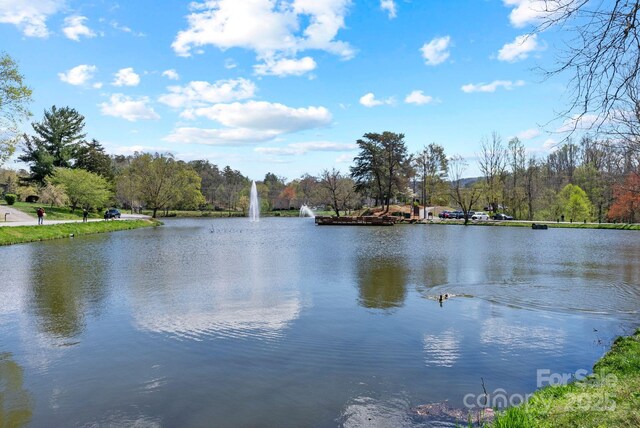 21 Lillie Farm Ln, Weaverville, NC 28787 - photo 32
