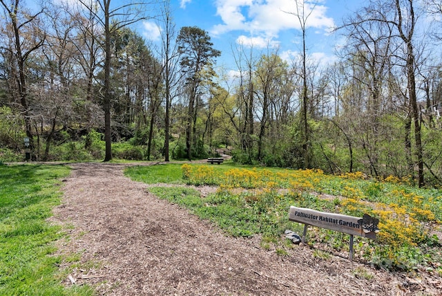 21 Lillie Farm Ln, Weaverville, NC 28787 - photo 44