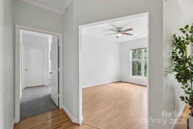 17111 Red Feather Dr, Charlotte, NC 28277 - photo 18