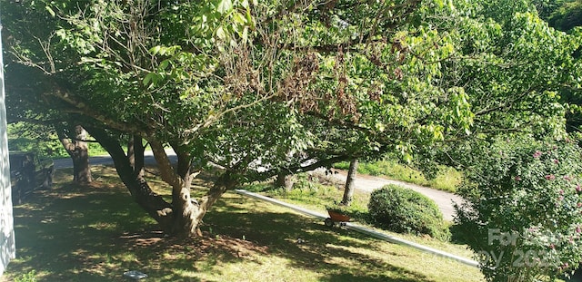 4755 US-23 Hwy, Mars Hill, NC 28754 - photo 21