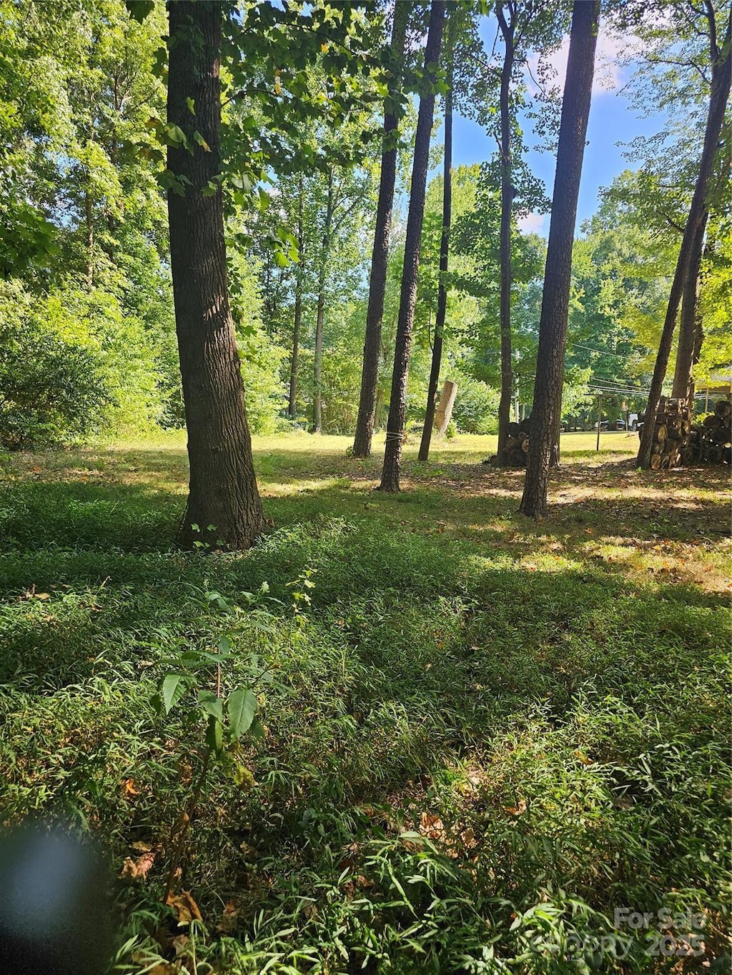 1915 Dove Dr, Charlotte, NC 28214 - photo 2