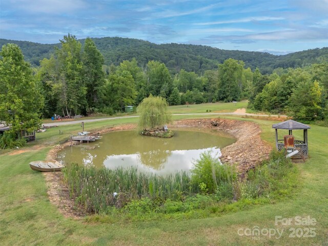 881 S Mountain Rd, Bostic, NC 28018 - photo 26