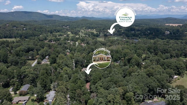 106 E Laurel Ln, Etowah, NC 28729 - photo 39