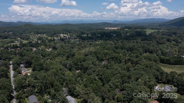 106 E Laurel Ln, Etowah, NC 28729 - photo 40