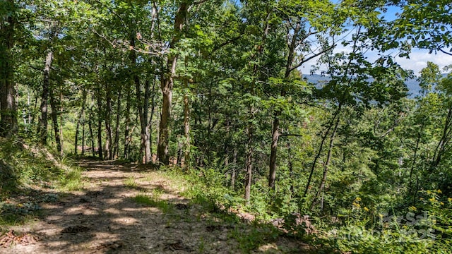 92 Hamburg Mountain Rd, Weaverville, NC 28787 - photo 13