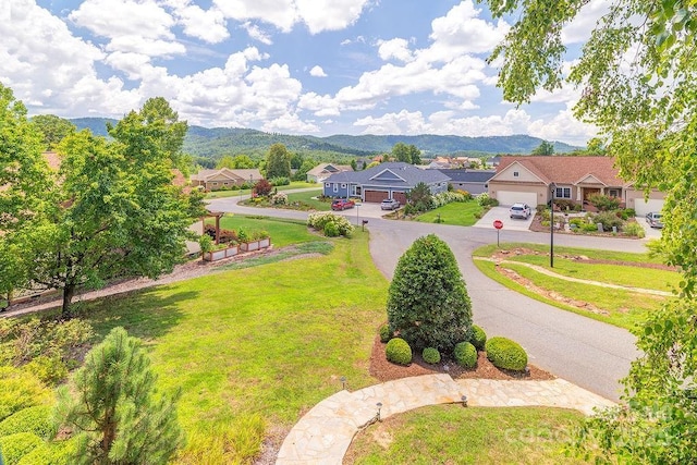 3 Gale Kelly Ct, Weaverville, NC 28787 - photo 32