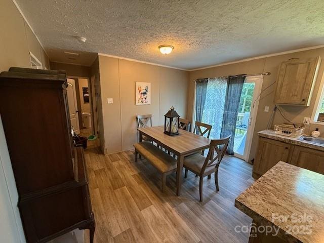 5371 Pinnacle Mountain Rd, Zirconia, NC 28790 - photo 4