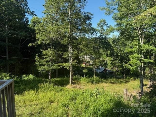 5371 Pinnacle Mountain Rd, Zirconia, NC 28790 - photo 17