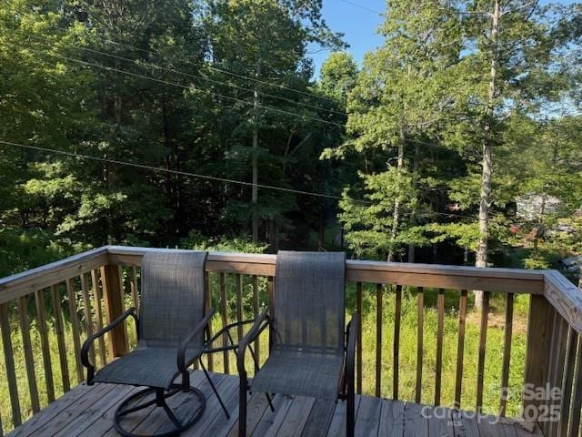 5371 Pinnacle Mountain Rd, Zirconia, NC 28790 - photo 18