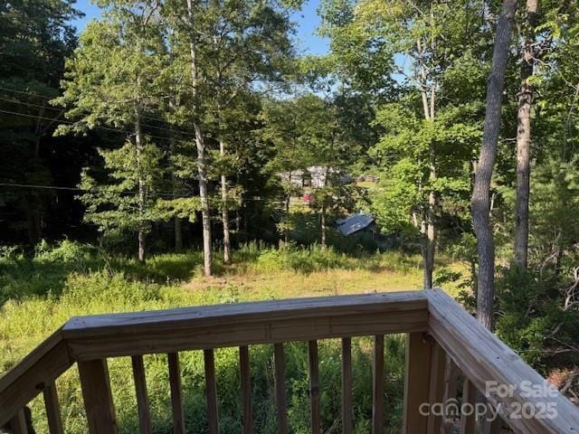 5371 Pinnacle Mountain Rd, Zirconia, NC 28790 - photo 19