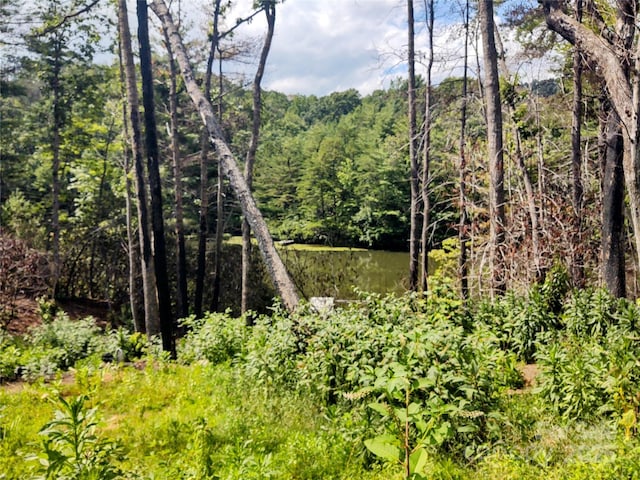 736 English Heifer Cove Rd, Flat Rock, NC 28731 - photo 4