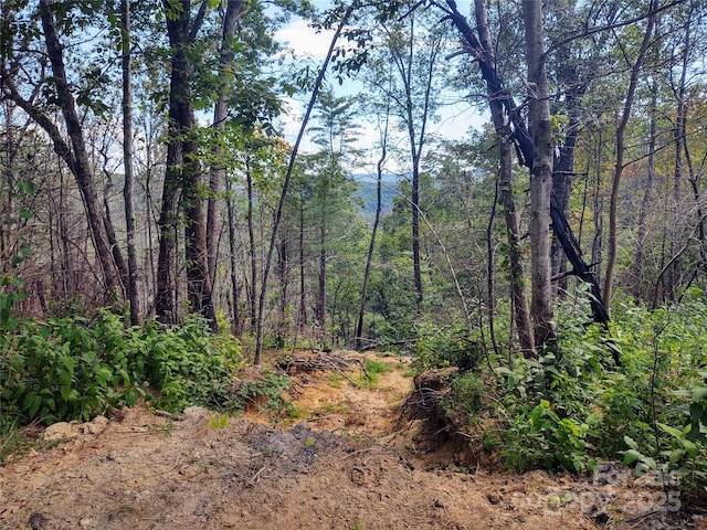 736 English Heifer Cove Rd, Flat Rock, NC 28731 - photo 6