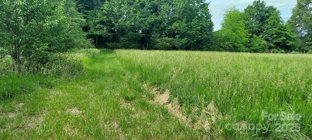 0 Canterbury Ln, State Road, NC 28678 - photo 5