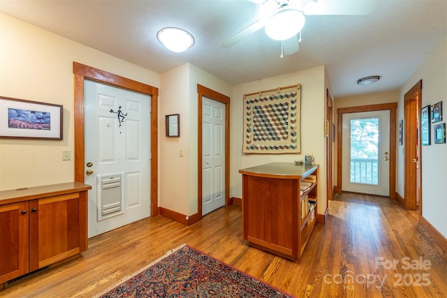 4 Galax Ln, Black Mountain, NC 28711 - photo 25