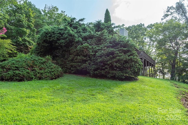 4 Galax Ln, Black Mountain, NC 28711 - photo 47