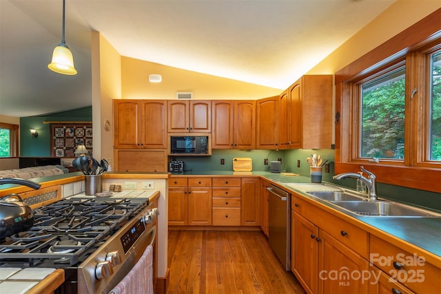 4 Galax Ln, Black Mountain, NC 28711 - photo 6