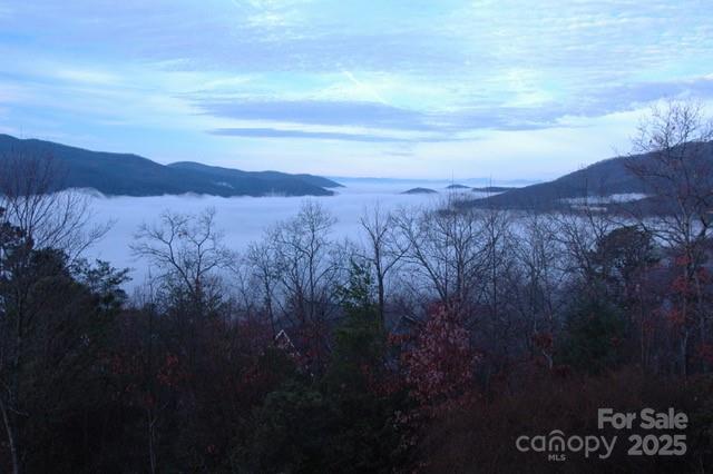 4 Galax Ln, Black Mountain, NC 28711 - photo 18